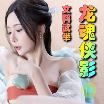 龙魂侠影14——文科武举
